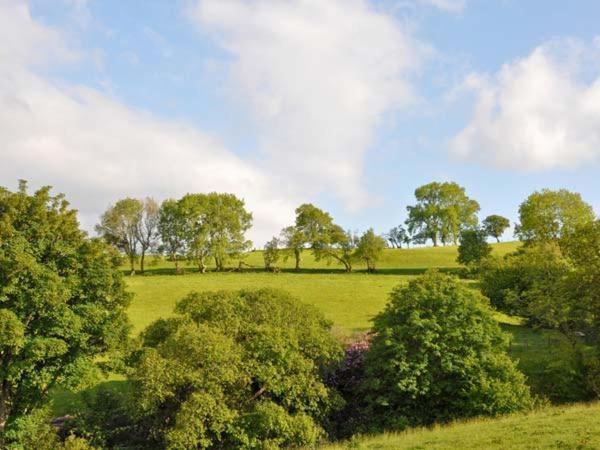 Hendre Aled Farmhouse Llansannan 外观 照片